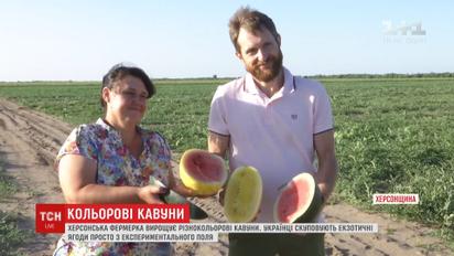 Незвичні кавуни жовтого та помаранчевого кольорів вирощують на Херсонщині
