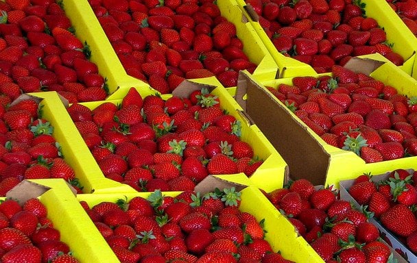 Урожай під загрозою: які культури заважають рости полуниці
