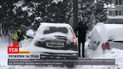 Во Львове зарабатывают деньги откапыванием авто из-под снега