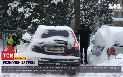Во Львове зарабатывают деньги откапыванием авто из-под снега