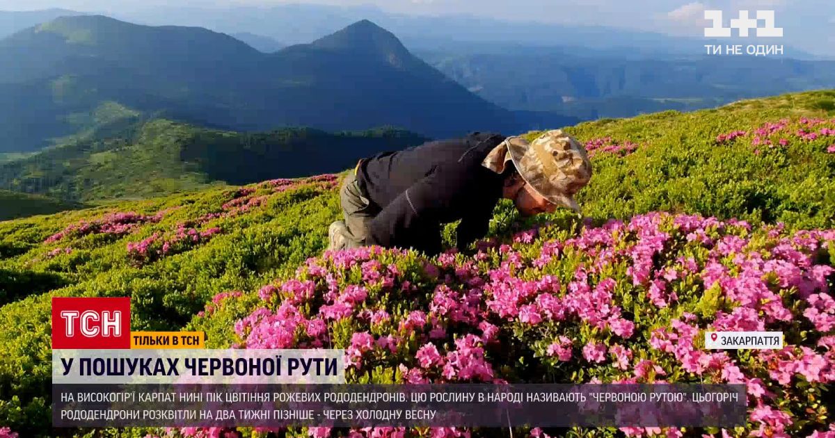 Серия марок 