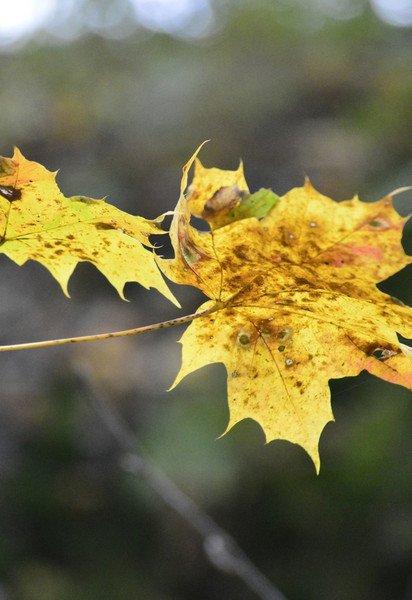 До України повернулося тепло