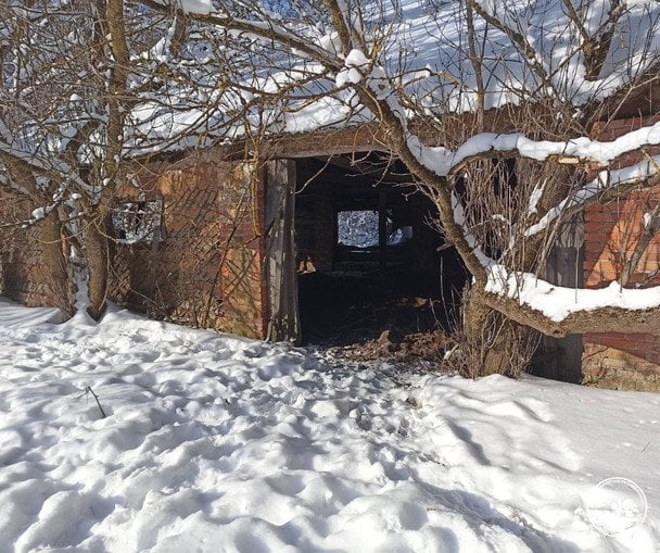 Закинутий хлів, у якому ночує стадо / © Чорнобильський радіаційно-екологічний біосферний заповідник