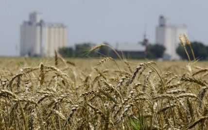 Украина экспортирует 30% от довоенных объемов сельскохозяйственной продукции — Кубраков