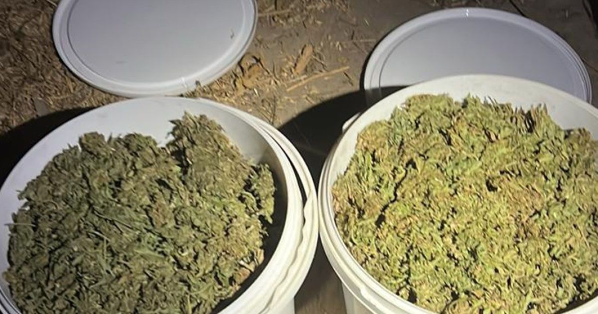 СБУ та Нацполіція знешкодили 5 нарколабораторій, які працювали на торгівців психотропами з Близького Сходу та ЄС