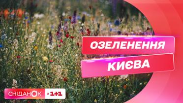 Екологічні рослини, різнотрав'я і терапевтичні парки: як озеленюють Київ