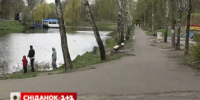В столичном парке «Нивки» будет генеральная уборка