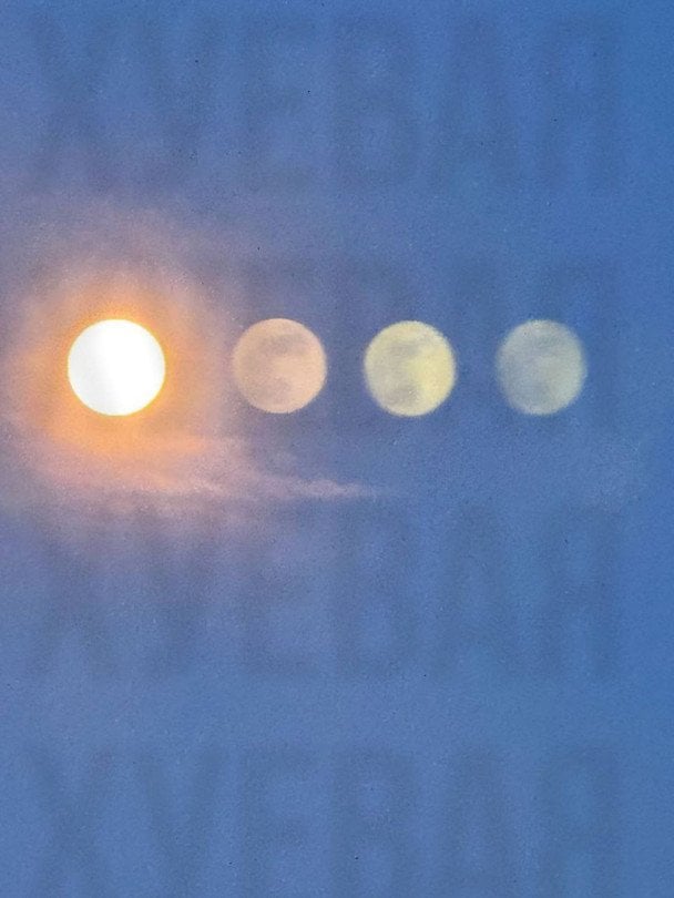  / © из соцсетей