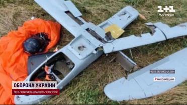 На Николаевщине подбили редкую российскую "птичку"