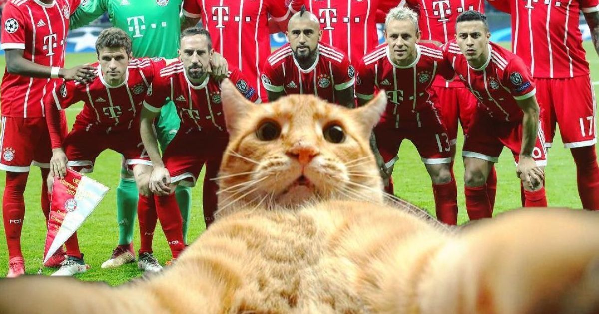 instagram.com/fcbayern