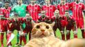 instagram.com/fcbayern