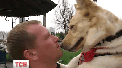 Канадцы приучают украинцев к лечению собаками