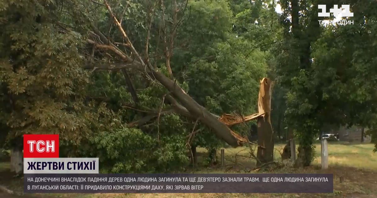 Новости Украины: Донбассом пронесся мощный ураган - два человека погибли