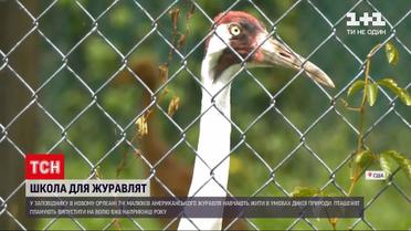 Новини світу: у заповіднику в Новому Орлеані відкрили школу для журавлят