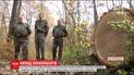 Кража с стрельбой: браконьеры обокрали лесную охрану на Житомирщине