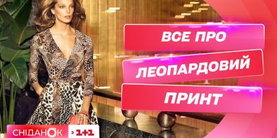 Як бути стильним у леопарді – модні поради від стилістки Олени Островерх