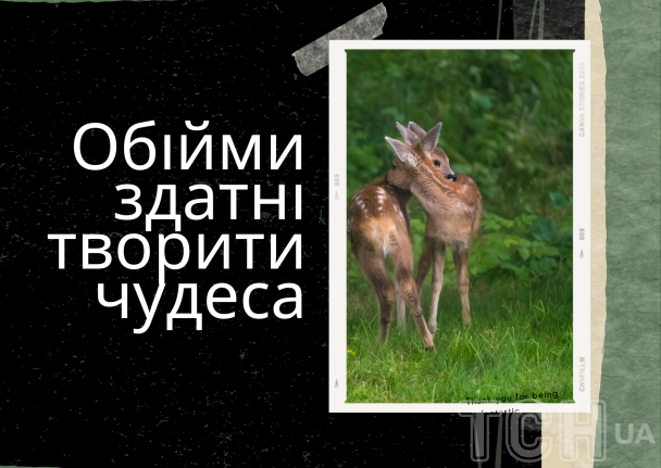 З днем обіймів / © ТСН.ua