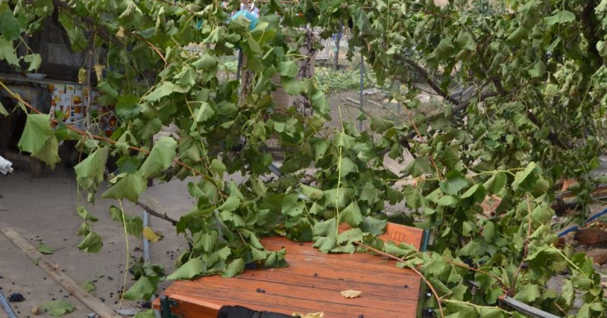 вбивство 8 річної дівчинки в Лощинівці та заворушення_20 / © УНІАН