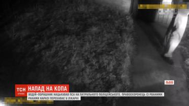 Полицейский с рваными ранами попал в больницу после того, как мужчина натравил на него пса