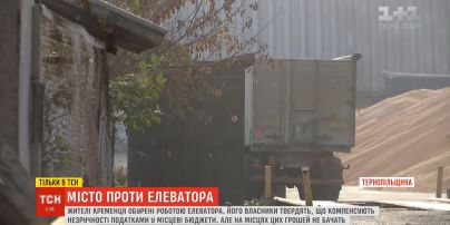 Кукурузная шелуха вместо снега: жители Кременца жалуются на работу элеватора