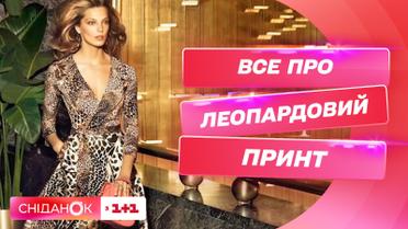 Как быть стильным в леопарде – модные советы от стилистки Елены Островерх
