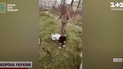 Видео драки