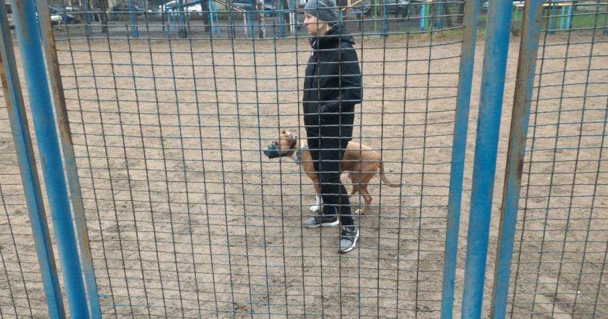 Трибуна Бровари