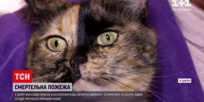 Во время пожара в Днепре погибли двойняшки, а остальных соседей спасла кошка | Новости Украины