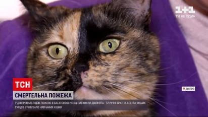 Во время пожара в Днепре погибли двойняшки, а остальных соседей спасла кошка | Новости Украины