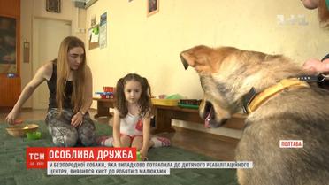 У безпородної собаки виявився хист до роботи з малюками реабілітаційного центру