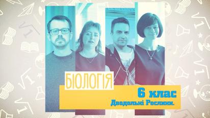 6 класс. Биология. Двудольные растения. 4 неделя, пн