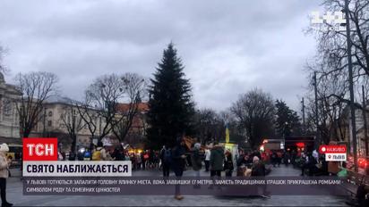 Во Львове готовятся зажечь новогоднюю елку | Новости Украины