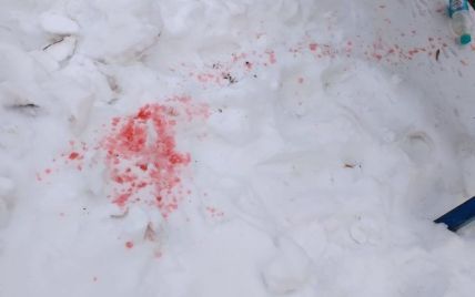 Таємницю рожевого снігу у Києві розкрито: у лабораторії розказали, чи небезпечний він для собак