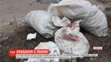 Живодер в Шостке: горожане нашли несколько мешков с убитыми собаками и котами