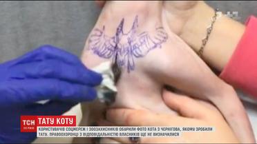 Зоозахисники та юзери вимагають покарати господарів кота, якому зробили тату