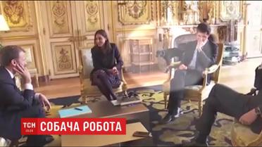 Пес Еммануеля Макрона підняв лапу на камін під час зустрічі посадовців у Єлисейському палаці