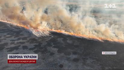 Горит более 30 гектаров! Масштабный пожар вокруг Николаева