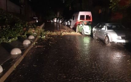 Негода у Львові: через сильні дощі в місті повалило дерева та підтопило будинок (фото)