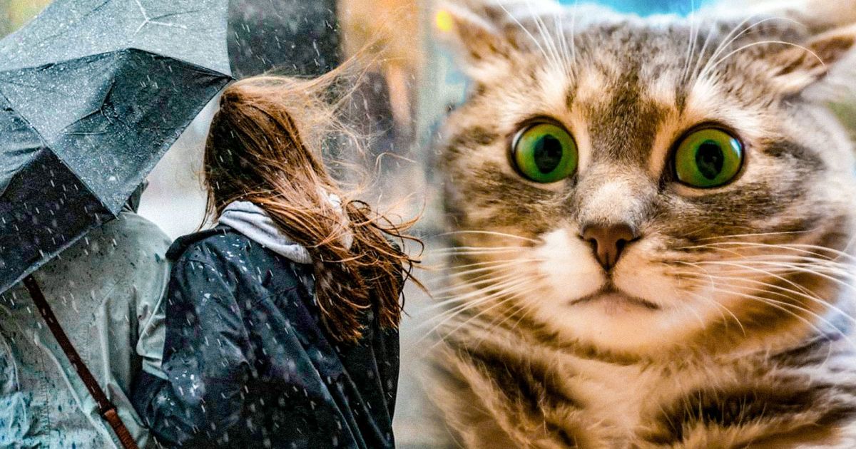 Прогноз погоды/Коллаж ТСН