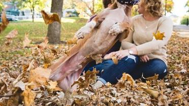 Собака казився перед камерою / © DNK photography