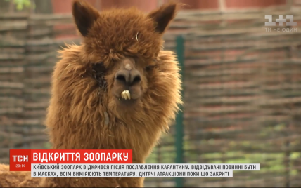Пополнение среди животных и новые правила для посетителей: как за карантин изменился киевский зоопарк