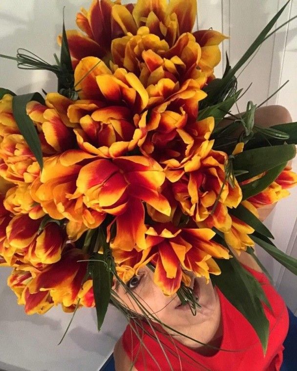  / © facebook.com/jamalaofficial