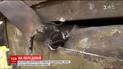 Во время артиллерийского обстрела Троицкого погибли двое местных жителей