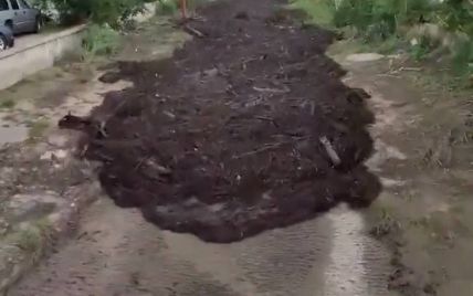 По улицам текут реки грязи, а дороги разрушают потоки камней: американские штаты после засухи охватили наводнения (видео)