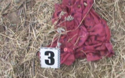 Стали відомі подробиці жорстокого вбивства 8-річної дівчинки на Одещині