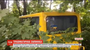 Водій ледь тримався на ногах: маршрутка з пасажирами злетіла з траси в ліс