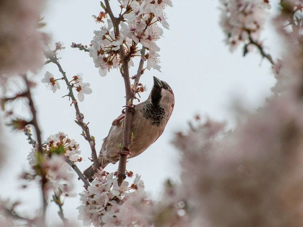 Синоптики прогнозують холодну та вітряну погоду на 25-26 квітня в Україні / © unsplash.com