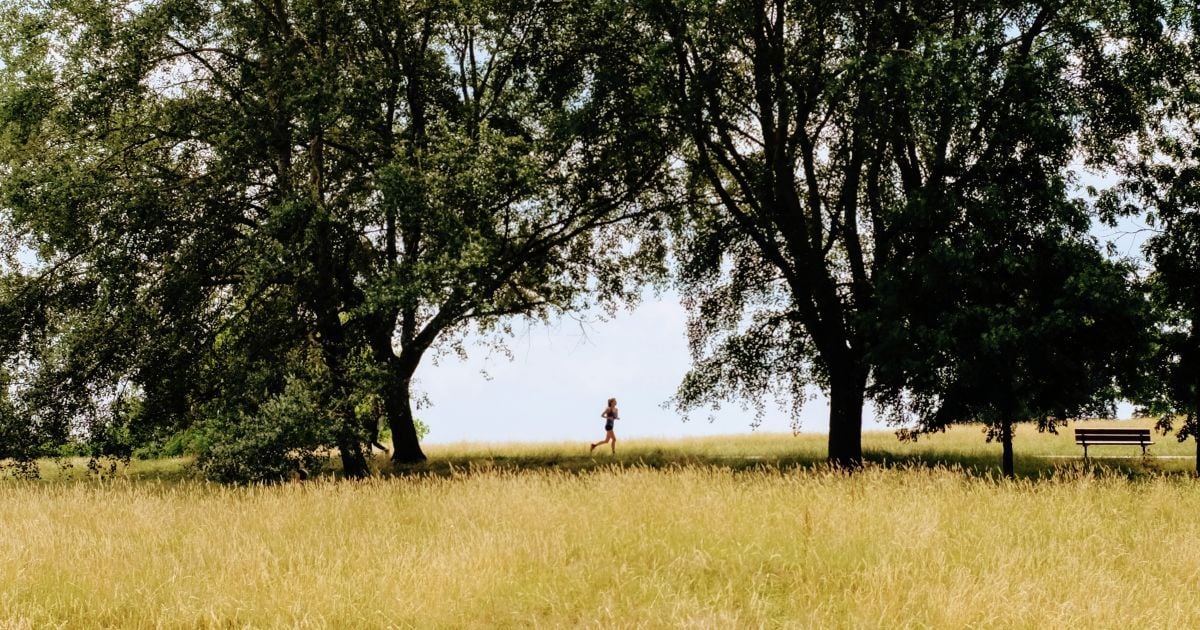 Прогноз погоди на 15 вересня: в Україні буде по-літньому тепло і сонячно