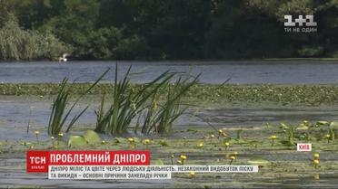 Проблемный Днепр: река покрылась песчаными отмелями