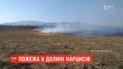 На Закарпатті мало не спалили "Долину нарцисів"